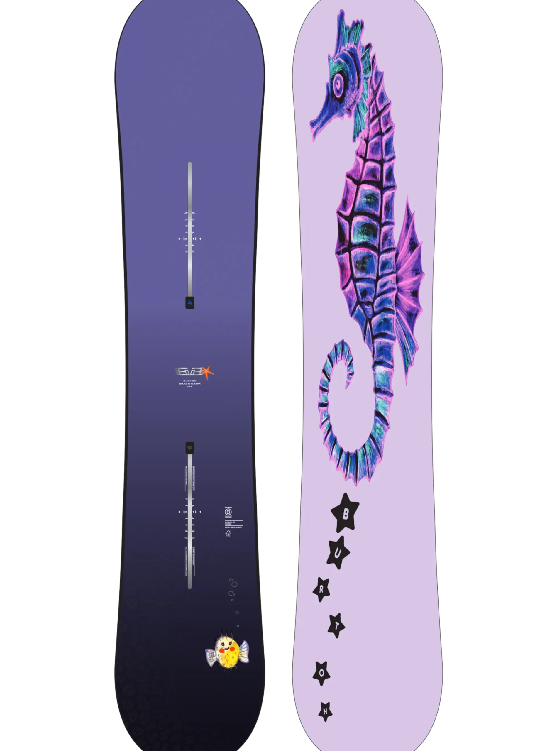 Blossom Camber Snowboard