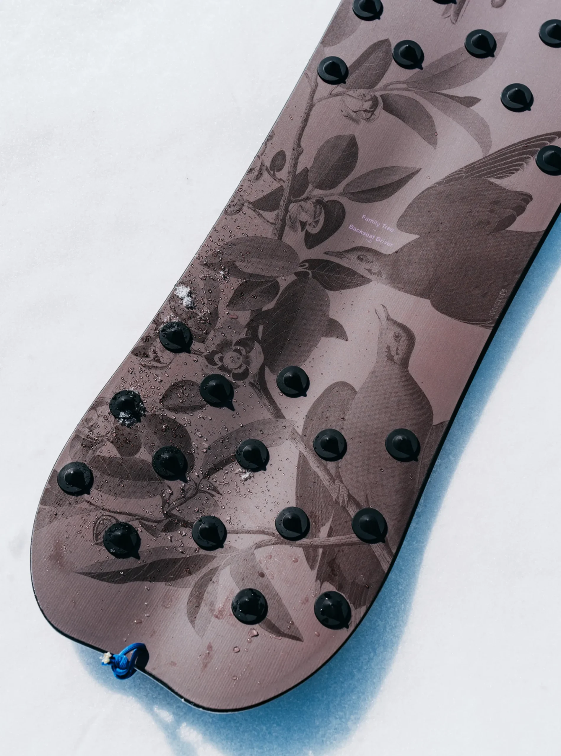 Family Tree Backseat Driver Pow Surfing Snowboard