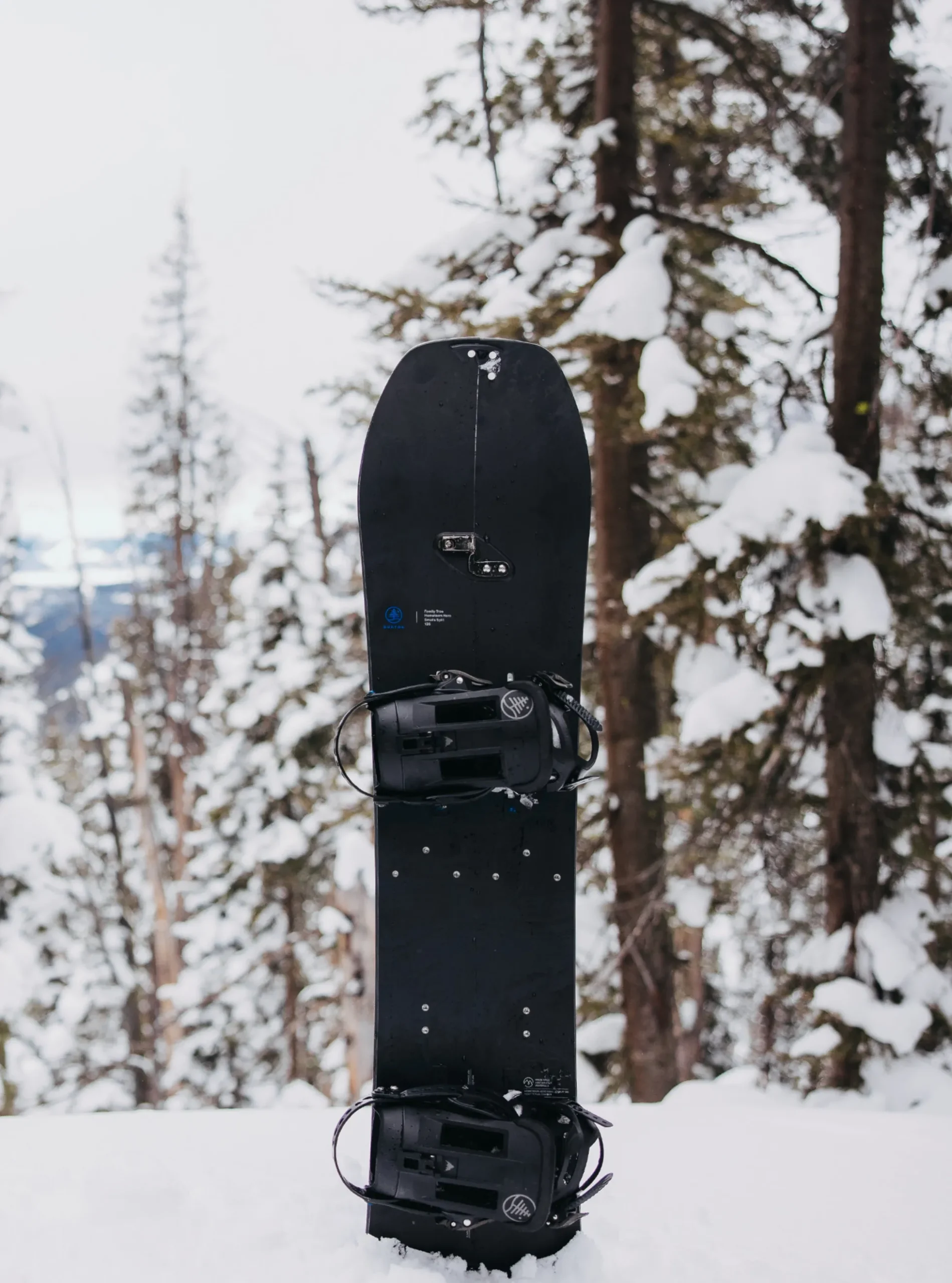 Kids' Family Tree Hometown Hero Smalls Splitboard