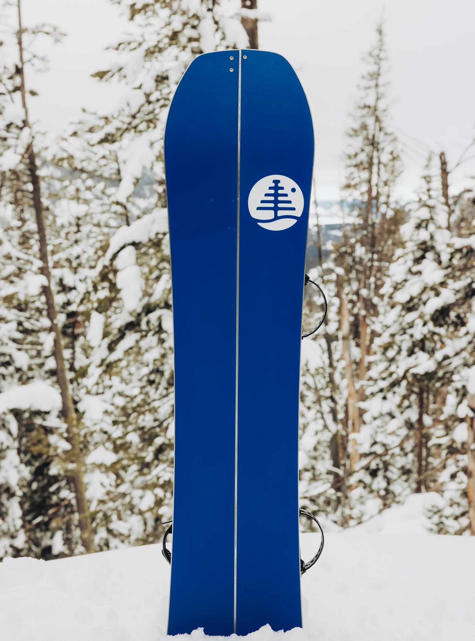 Kids' Family Tree Hometown Hero Smalls Splitboard